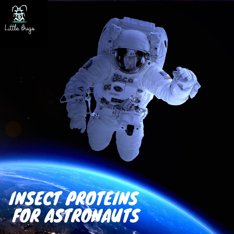 Des protéines d'insectes pour les astronautes